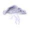 Prévisions météo : Risque d Orages